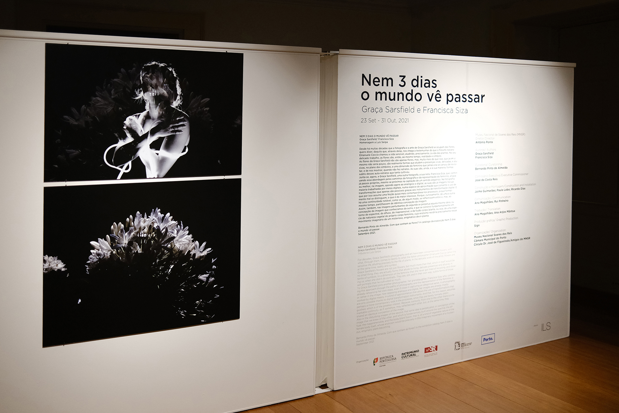 Exposição Nem 3 Dias o Mundo Vê Passar