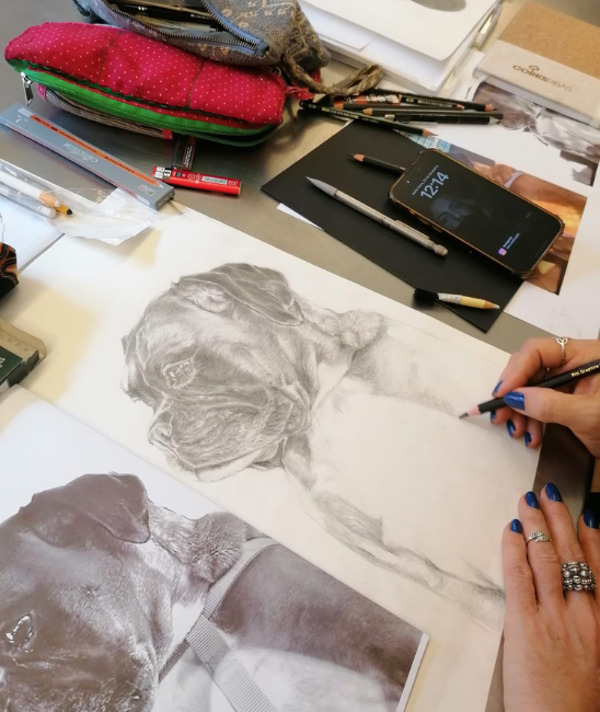 Curso de Ilustração Científica