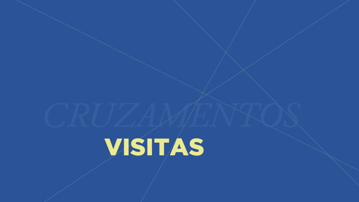 visitas_2026