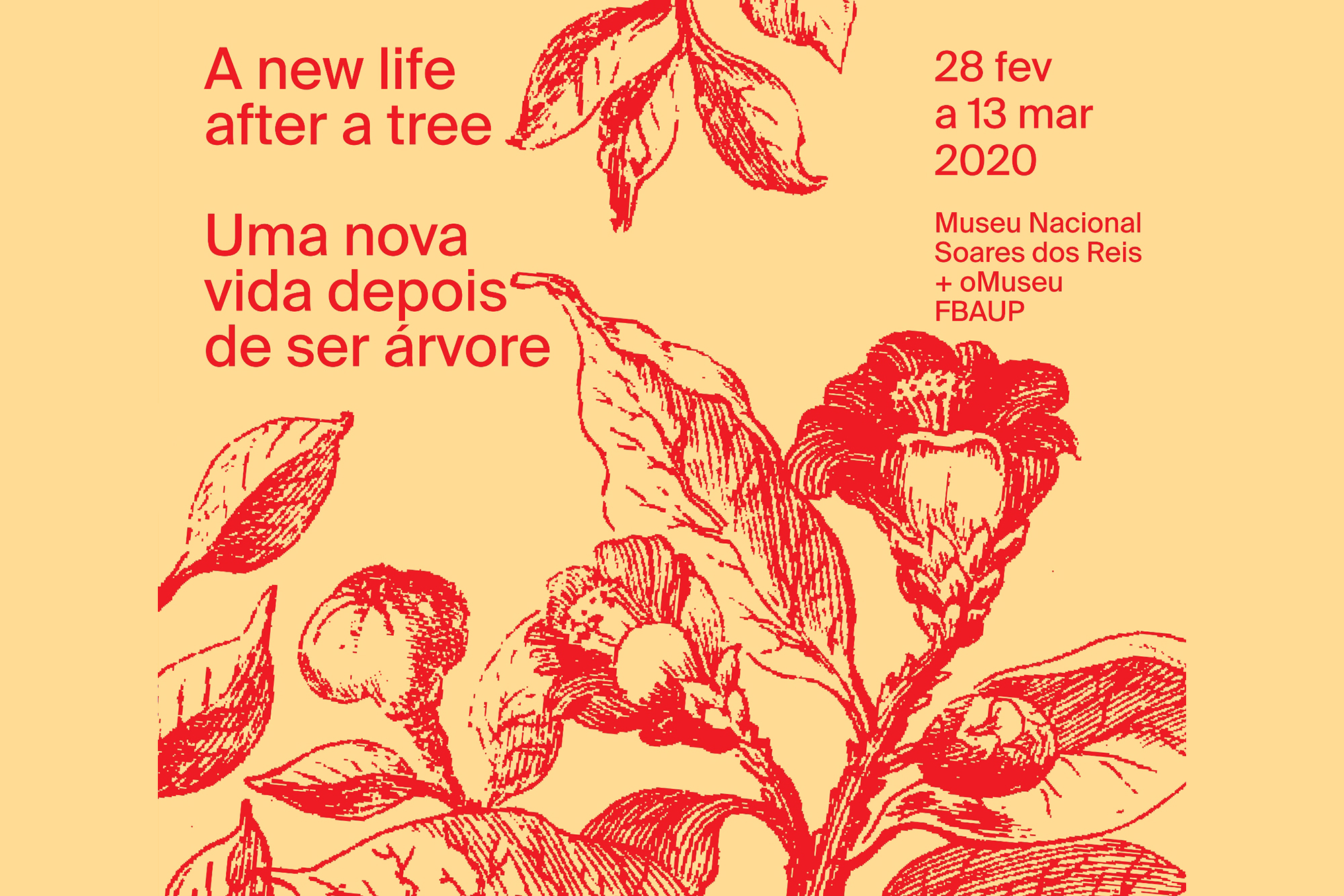 Uma Nova Vida Depois de Ser Árvore