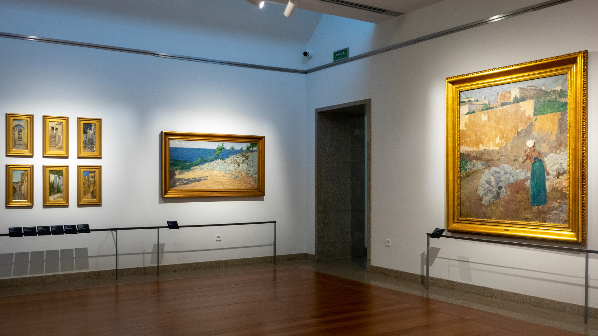 Entender o contexto histórico-cultural em que surge a pintura naturalista em Portugal. Conhecer exemplos da obra de alguns naturalistas da escola do Porto, nomeadamente, Silva Porto, Artur Loureiro, Henrique Pousão e Sousa Pinto.